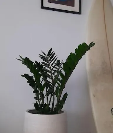 The 9 Souls - Pool View *