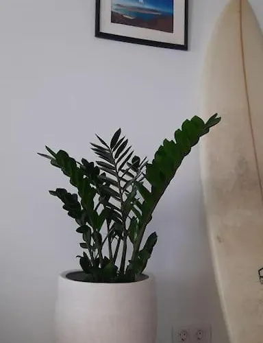 The 9 Souls - Pool View *